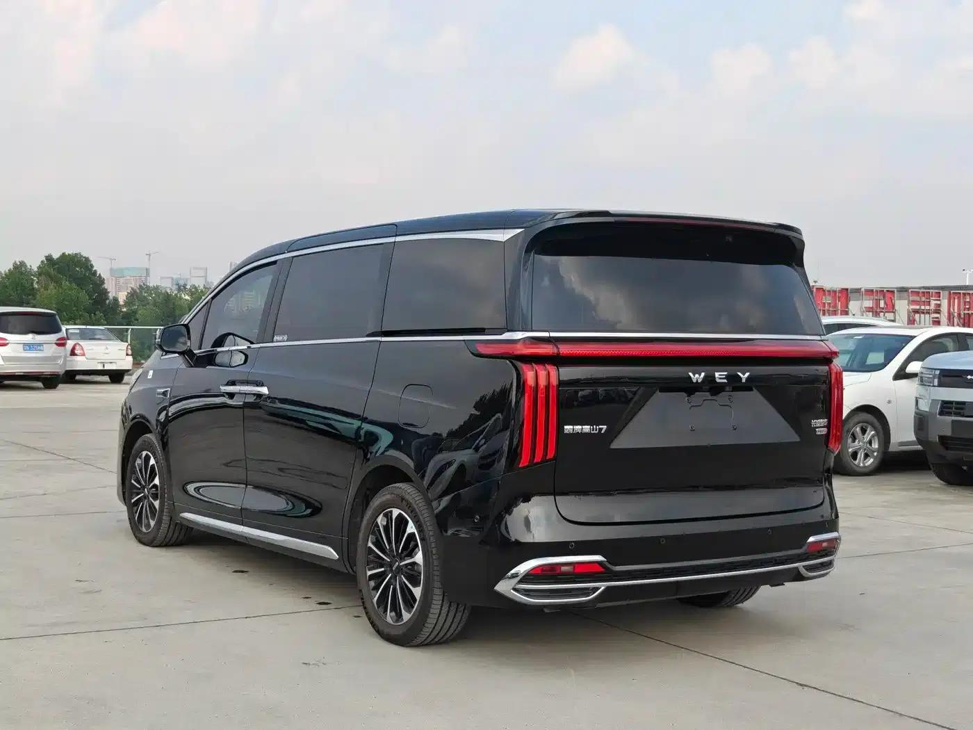 Weipai Gaoshan 2025 Model 4WD Gaoshan 7 — миниатюра 6