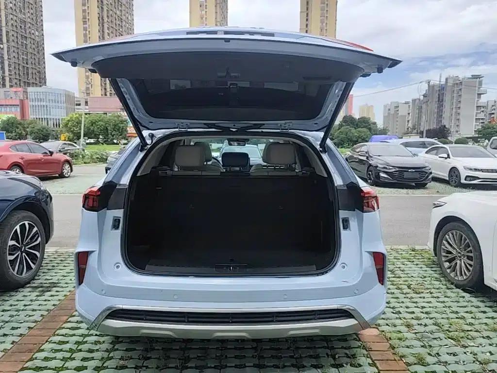 Wey brand Mocha 2021 2.0T 2WD Special Edition — миниатюра 19