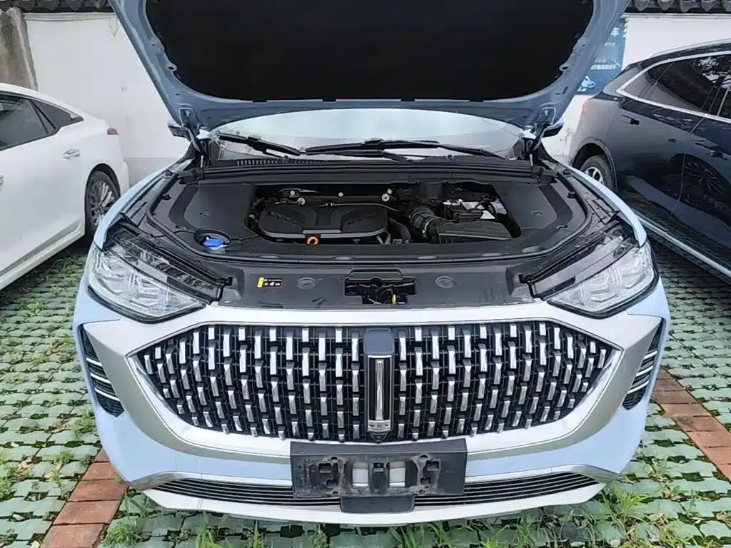Wey brand Mocha 2021 2.0T 2WD Special Edition — миниатюра 20
