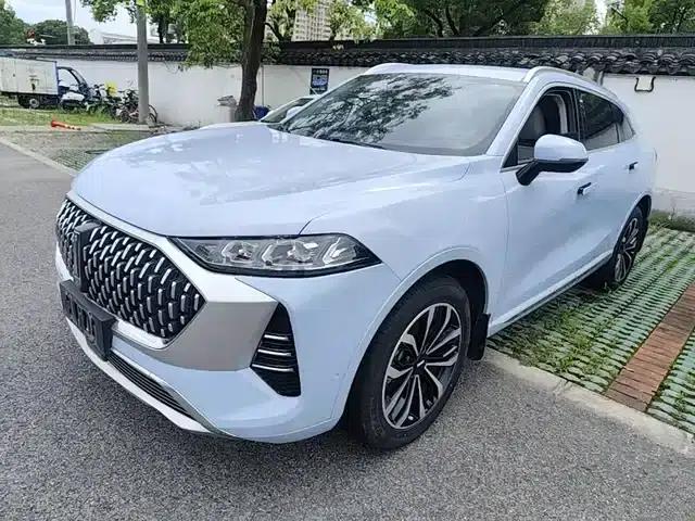 Wey brand Mocha 2021 2.0T 2WD Special Edition