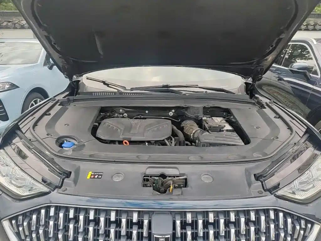 Wey brand Mocha 2021 2.0T 2WD Special Edition — миниатюра 20