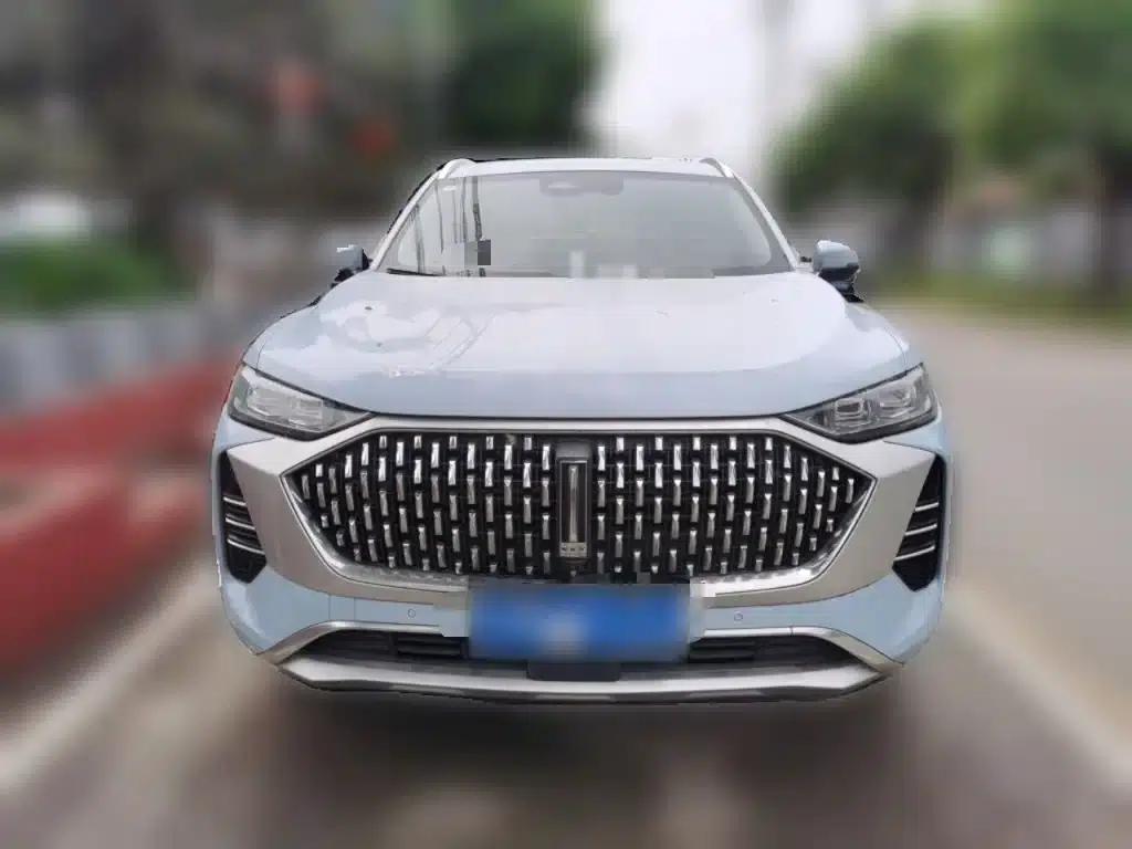 Wey brand Mocha 2021 2.0T 2WD Special Edition — миниатюра 24