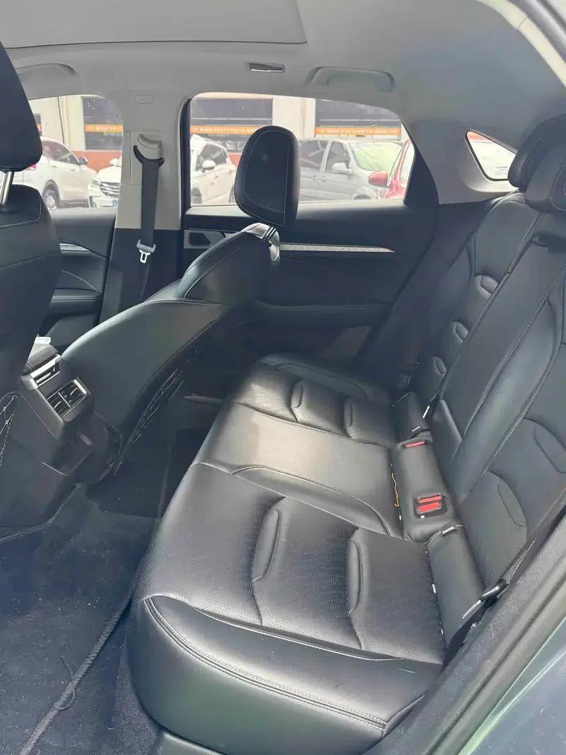 Xingrui 2020 2.0T Luxury Edition — миниатюра 4