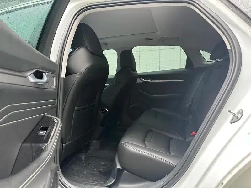 Xingrui 2023 2.0T Luxury Edition — миниатюра 9