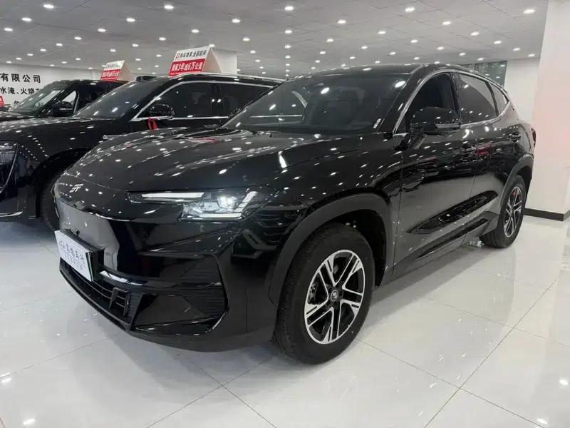 Jetour Mountain & Sea L6 2024 1.5TD DHT MAX — миниатюра 1