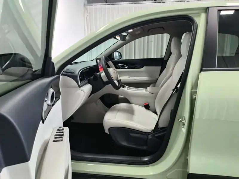 Star Wish 2026 Model 410km Freedom Edition — миниатюра 17