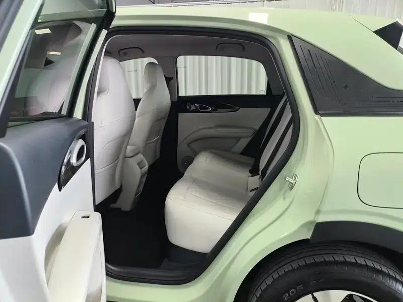 Star Wish 2026 Model 410km Freedom Edition — миниатюра 18