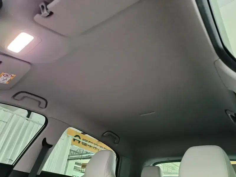 Star Wish 2026 Model 410km Freedom Edition — миниатюра 19