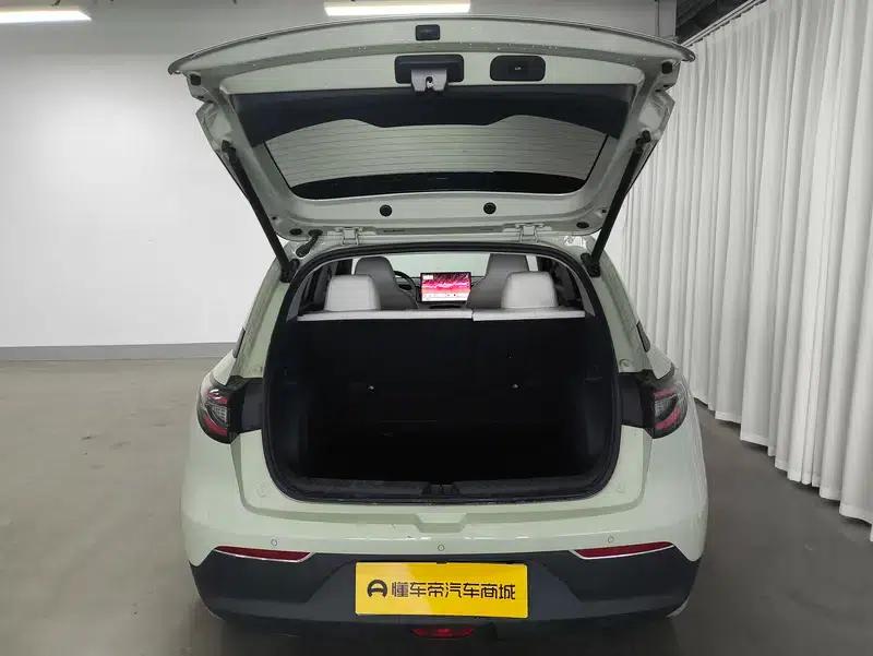 Star Wish 2026 Model 410km Freedom Edition — миниатюра 20