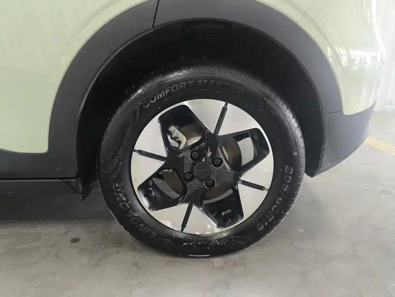 Star Wish 2026 Model 410km Freedom Edition — миниатюра 9