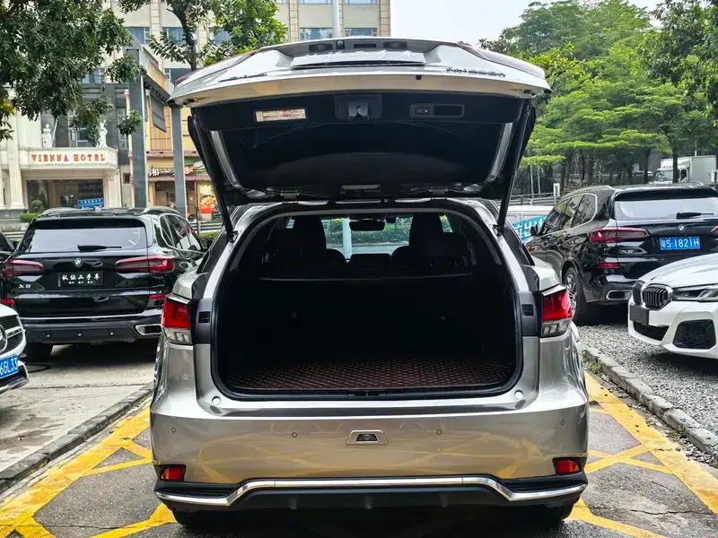 Lexus RX 2020 450h AWD Elegant Edition (China VI Emission Standard) — миниатюра 18