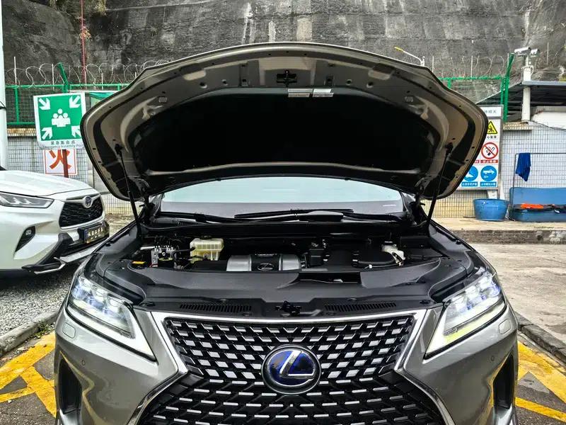 Lexus RX 2020 450h AWD Elegant Edition (China VI Emission Standard) — миниатюра 8