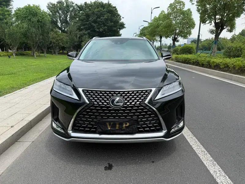 Lexus RX 300 AWD F Sport 2021 — миниатюра 2