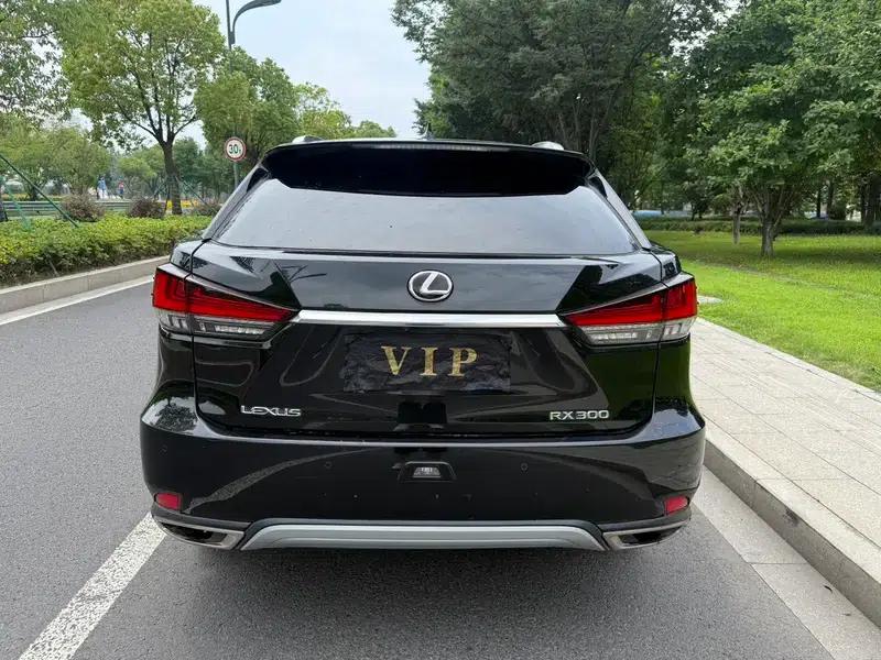 Lexus RX 300 AWD F Sport 2021 — миниатюра 5