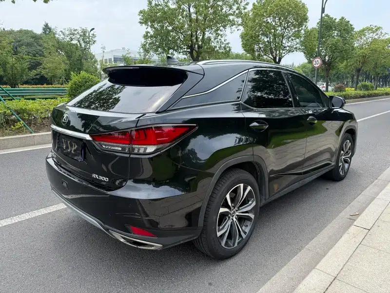 Lexus RX 300 AWD F Sport 2021 — миниатюра 6