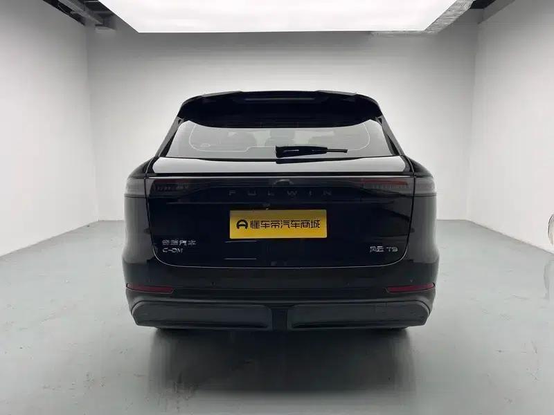 Fengyun T9 2025 Model 120KM Long Range Premium Edition (Lithium Iron Phosphate) — миниатюра 6