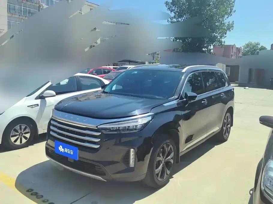 Starry Night 2021 390T AWD Starry Night Long Range Edition — миниатюра 1