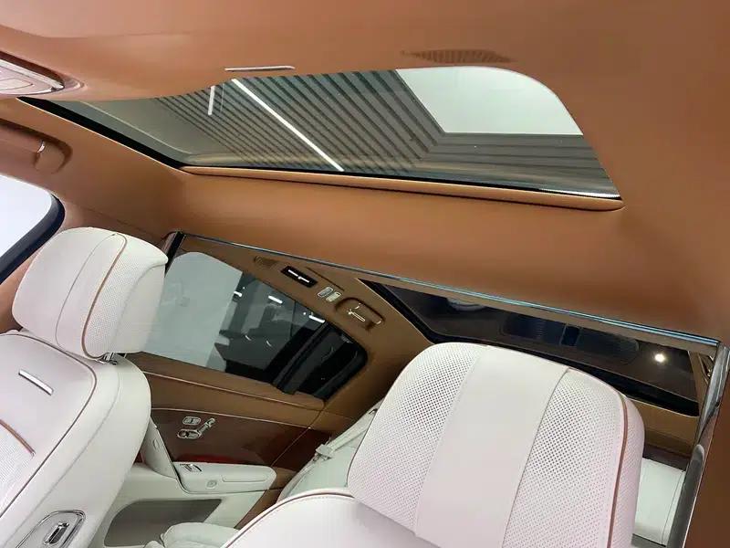 2025 S800 Premium Range Extended Star Executive Edition (4-seater) — миниатюра 19