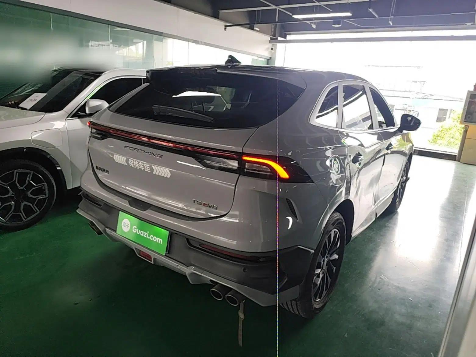 FORTHING T5 EVO 2024 Kungbiao Edition 1.5TD DCT Platinum Model — миниатюра 6