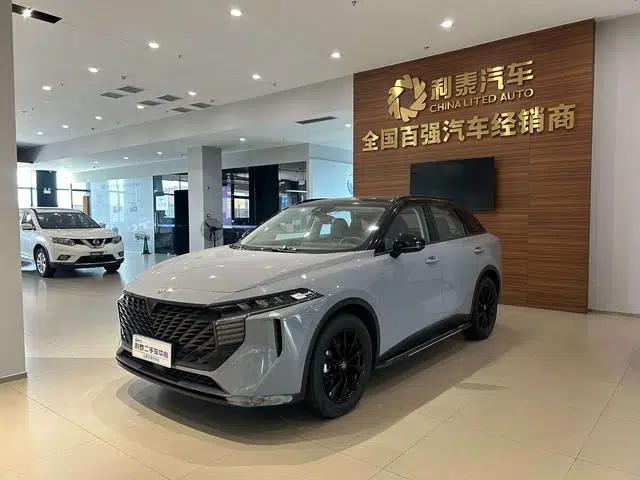 Venucia V20 2021 1.5T Automatic Front-Wheel Drive 5-Seater Factory Custom Edition