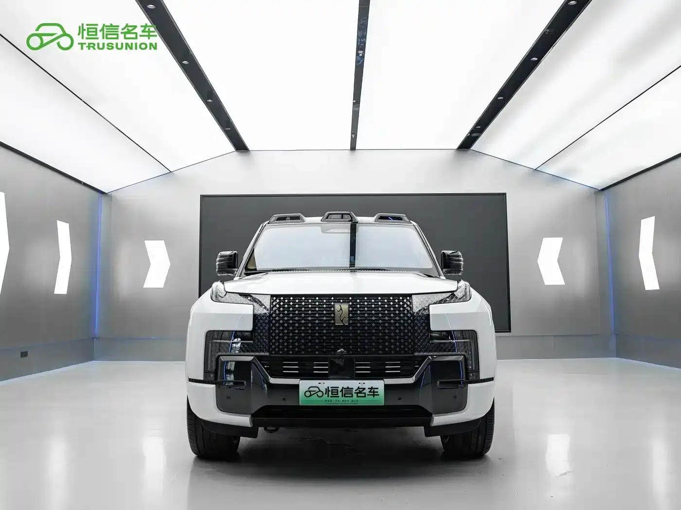 Looking up at the U8 L 2025 Dingshi Edition — миниатюра 2