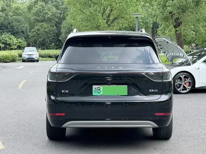 Wenjie M9 2024 Pure Electric Ultra Six-Seat Edition — миниатюра 6