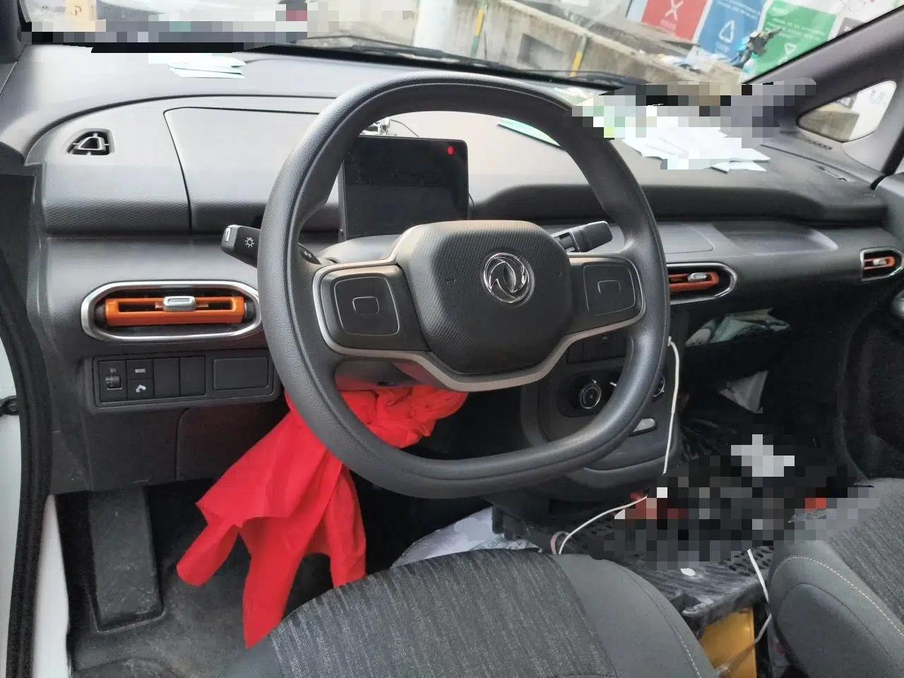 Dongfeng Ruilida V8E Ruilita EV9020, 2025 model, 310 km standard range — миниатюра 10