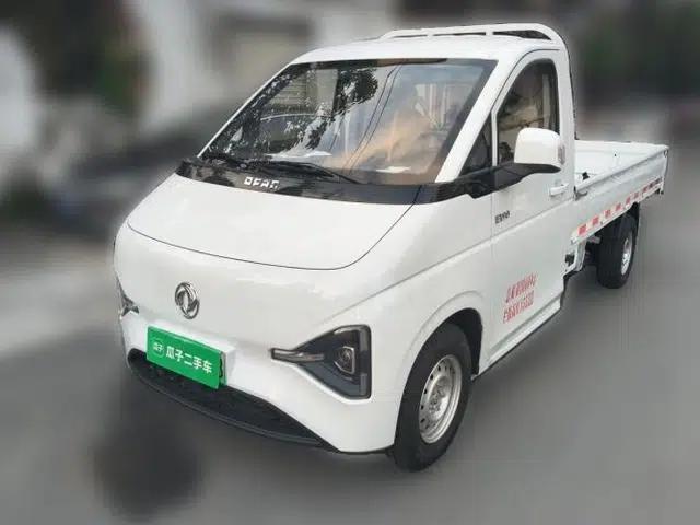 Dongfeng Ruilida V8E Ruilita EV9020, 2025 model, 310 km standard range