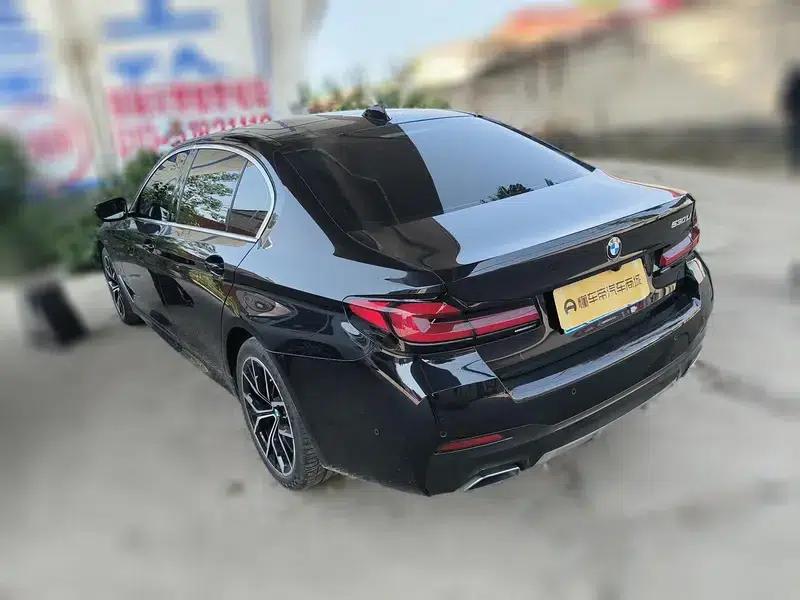 2022 BMW 5 Series Facelift 530Li Luxury M Sport Package — миниатюра 6