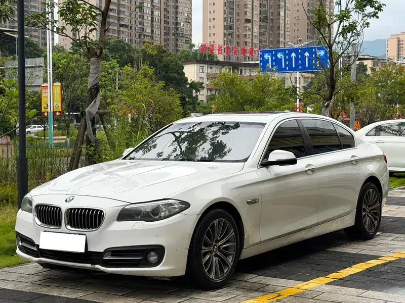 2014 BMW 5 Series 525Li Leading Edition — миниатюра 1