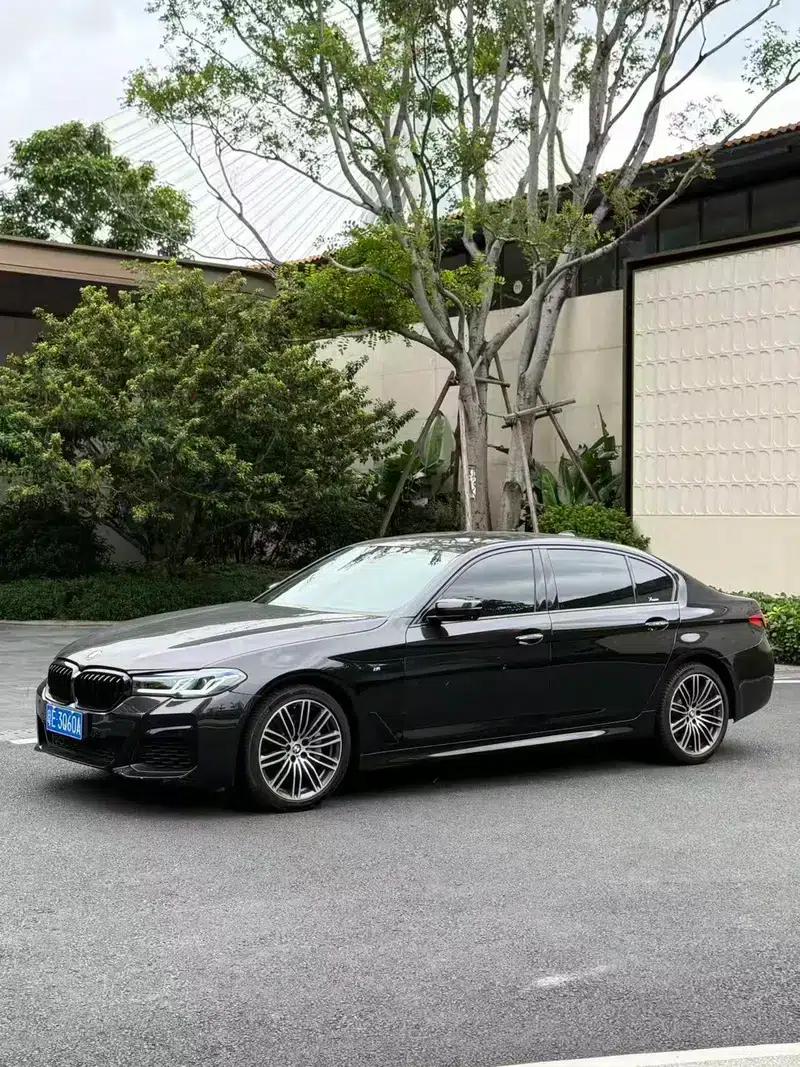 2018 BMW 5 Series Facelift 530Li Luxury M Sport Package — миниатюра 1