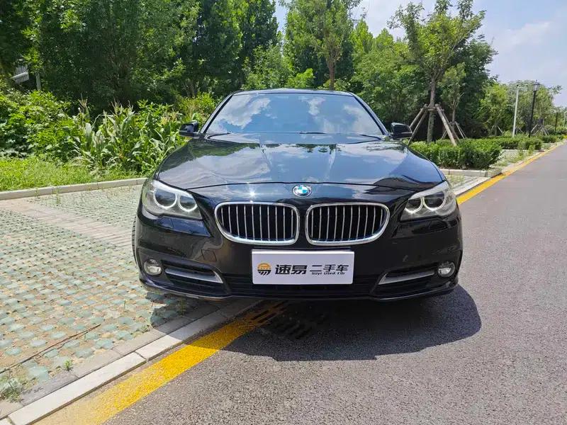 2014 BMW 5 Series 525Li Leading Edition — миниатюра 2