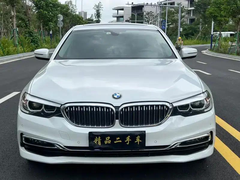 2019 BMW 5 Series 525Li Luxury Package — миниатюра 2