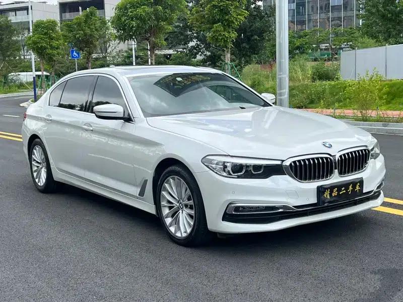 2019 BMW 5 Series 525Li Luxury Package — миниатюра 3