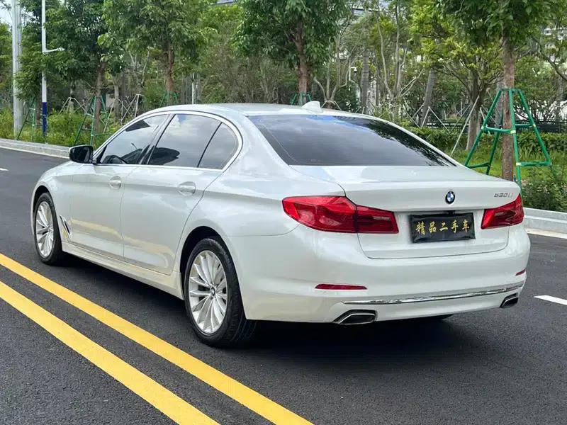 2019 BMW 5 Series 525Li Luxury Package — миниатюра 4