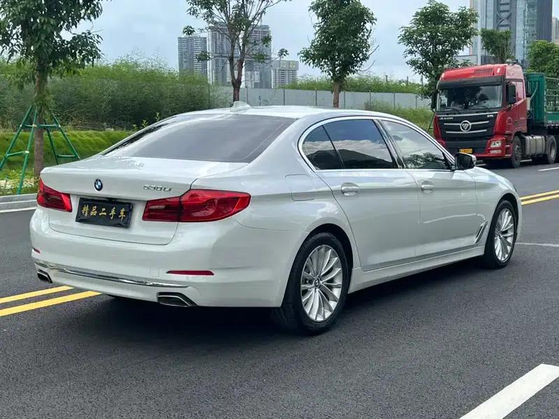2019 BMW 5 Series 525Li Luxury Package — миниатюра 6