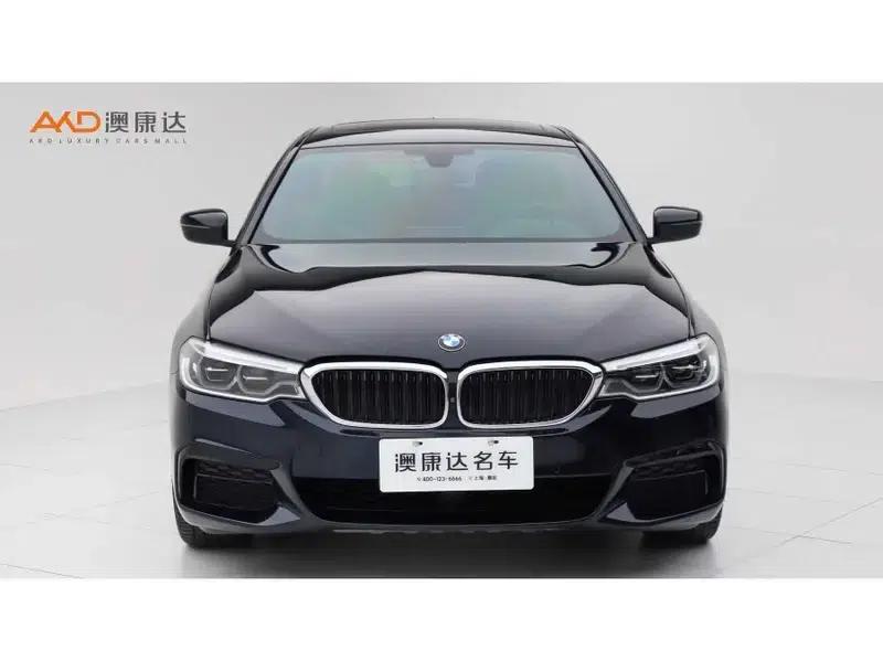 2020 BMW 5 Series 530Li Luxury M Sport Package — миниатюра 2