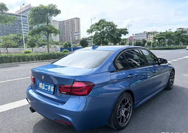 2019 BMW 3 Series 320Li M Sport Shadow Edition — миниатюра 4