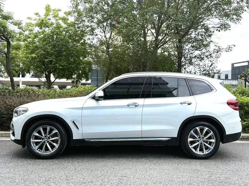 BMW X3 2018 xDrive25i Luxury Package (China V Emission Standard) — миниатюра 4