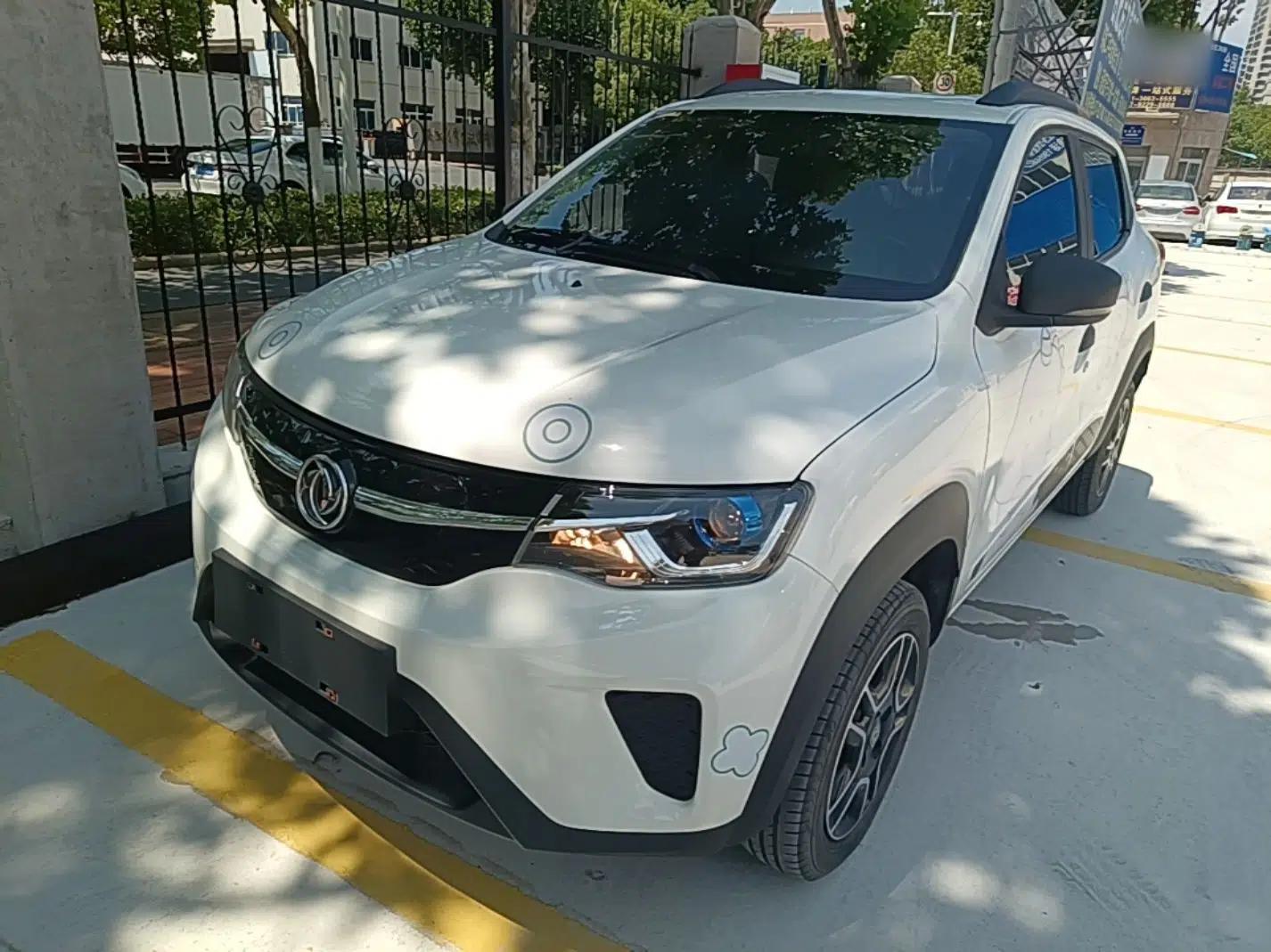 Dongfeng NAMMI EX1 2022 PRO Enjoyment Model — миниатюра 1