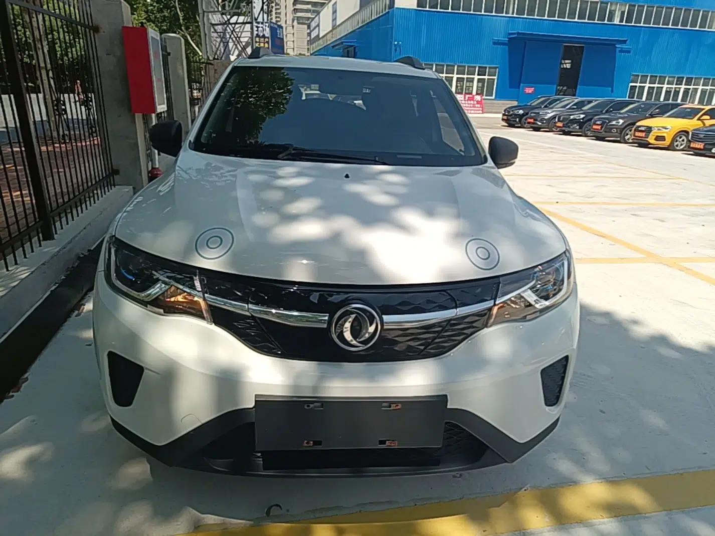 Dongfeng NAMMI EX1 2022 PRO Enjoyment Model — миниатюра 2