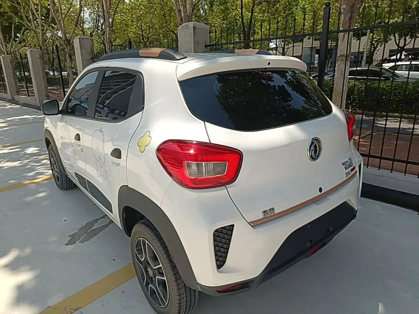Dongfeng NAMMI EX1 2022 PRO Enjoyment Model — миниатюра 4
