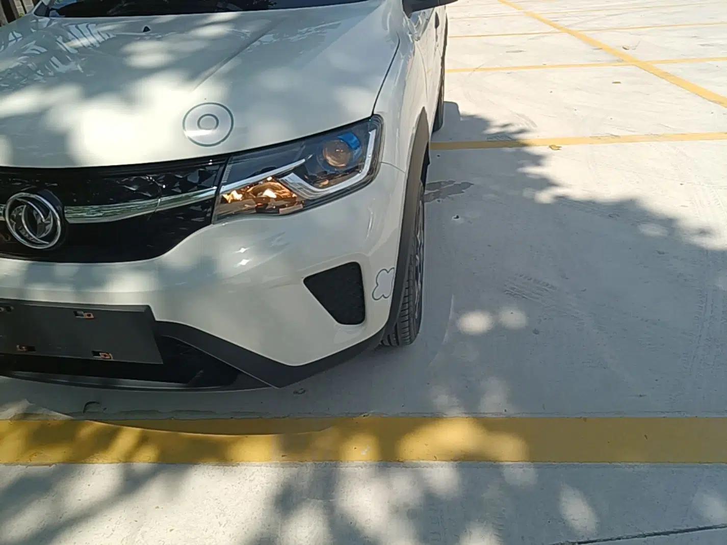 Dongfeng NAMMI EX1 2022 PRO Enjoyment Model — миниатюра 8