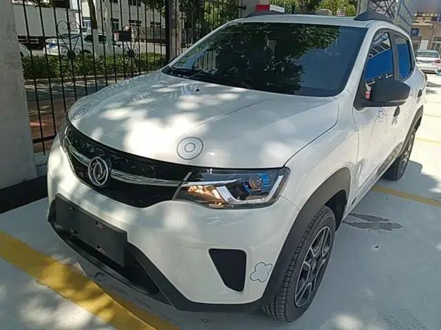 Dongfeng NAMMI EX1 2022 PRO Enjoyment Model
