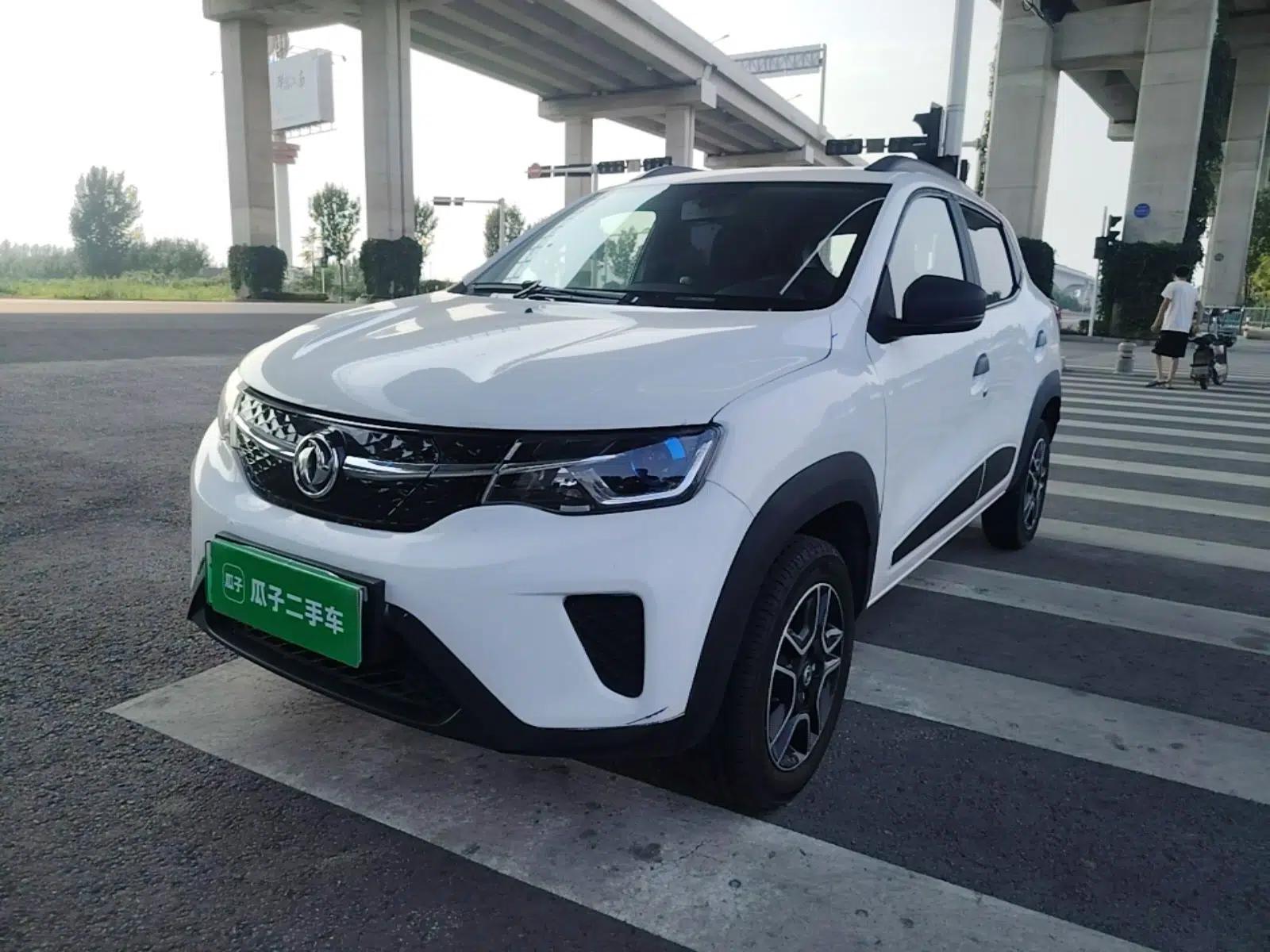 Dongfeng NAMMI EX1 2022 PRO Enjoyment Model — миниатюра 1
