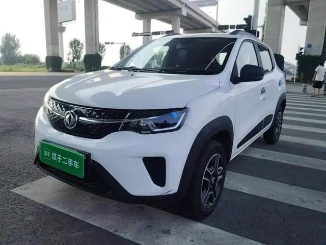 Dongfeng NAMMI EX1 2022 PRO Enjoyment Model