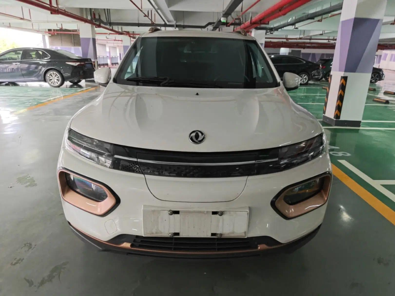 Dongfeng NAMMI EX1 2023 PRO Light Wind Edition Lightning Model — миниатюра 2
