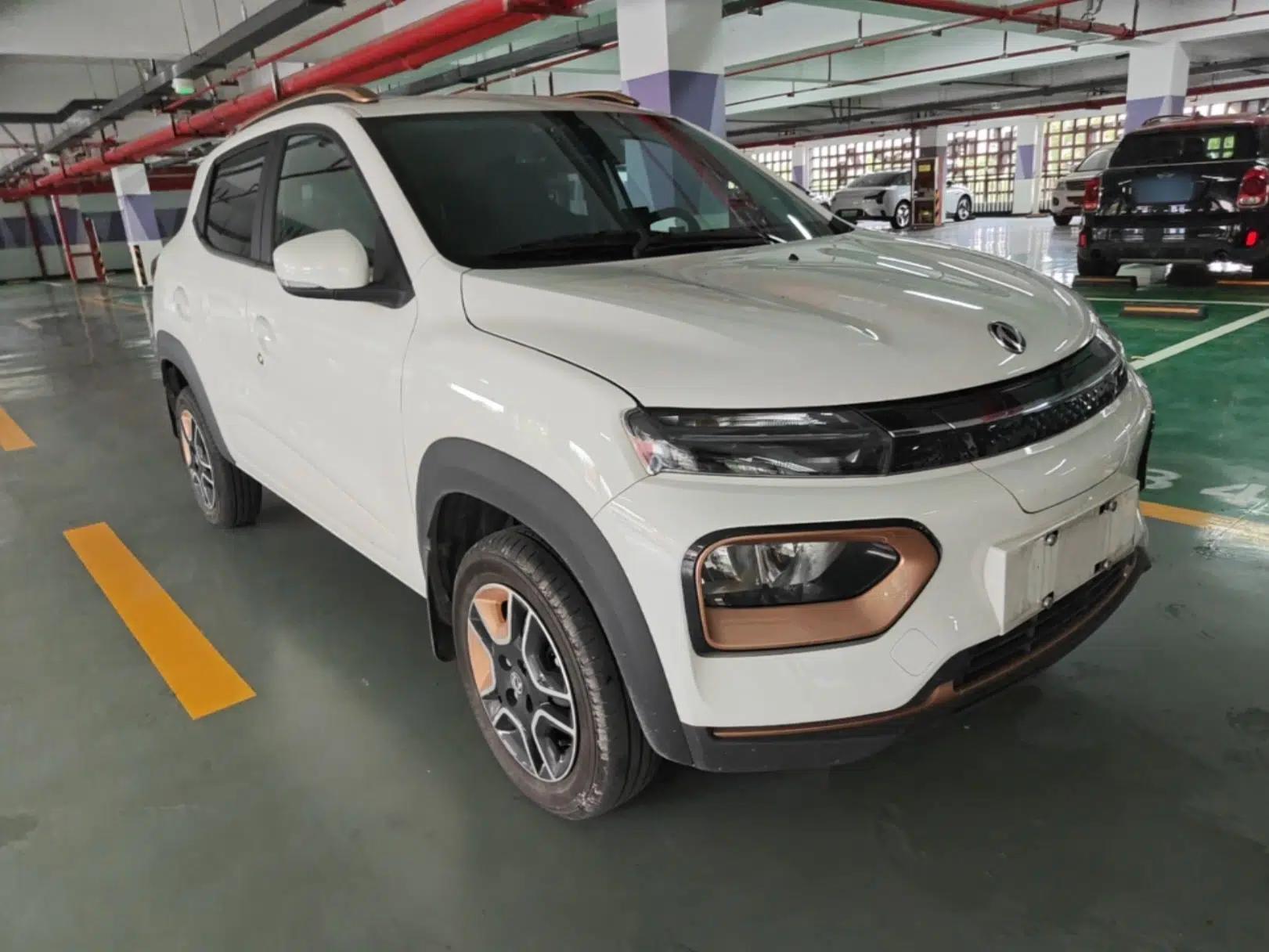 Dongfeng NAMMI EX1 2023 PRO Light Wind Edition Lightning Model — миниатюра 3