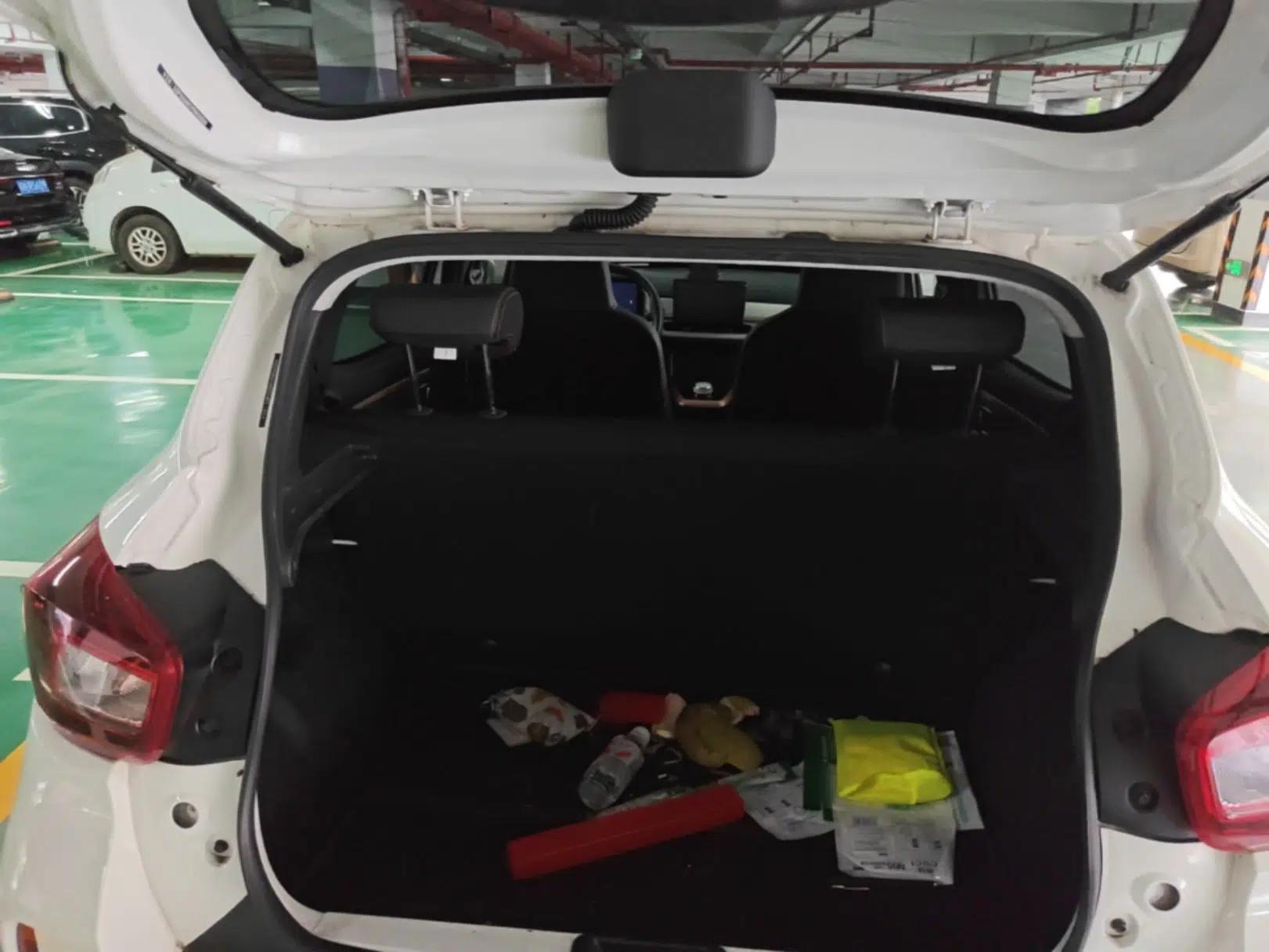 Dongfeng NAMMI EX1 2023 PRO Light Wind Edition Lightning Model — миниатюра 27