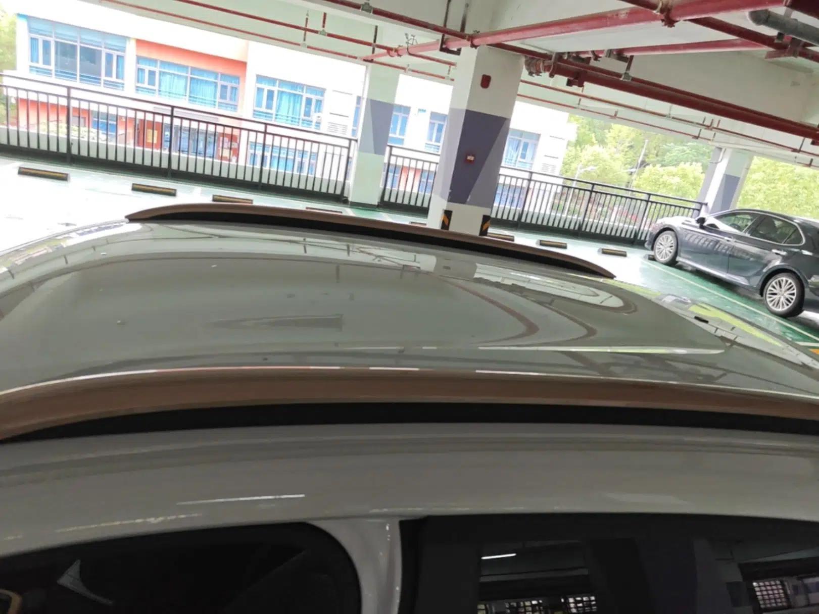 Dongfeng NAMMI EX1 2023 PRO Light Wind Edition Lightning Model — миниатюра 7